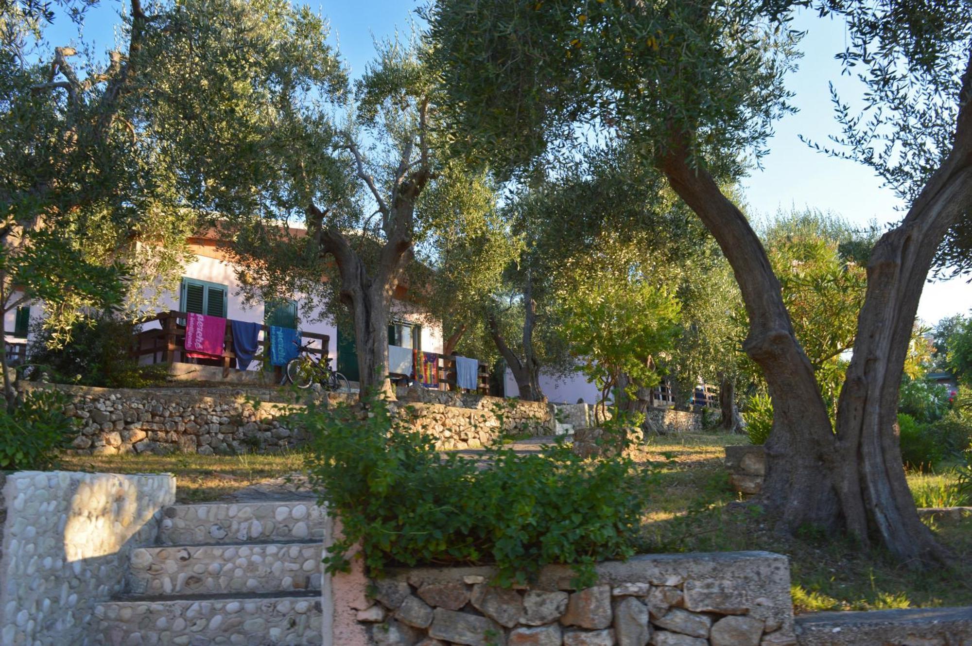 Villaggio Uliveto رودي غارغانيكو المظهر الخارجي الصورة
